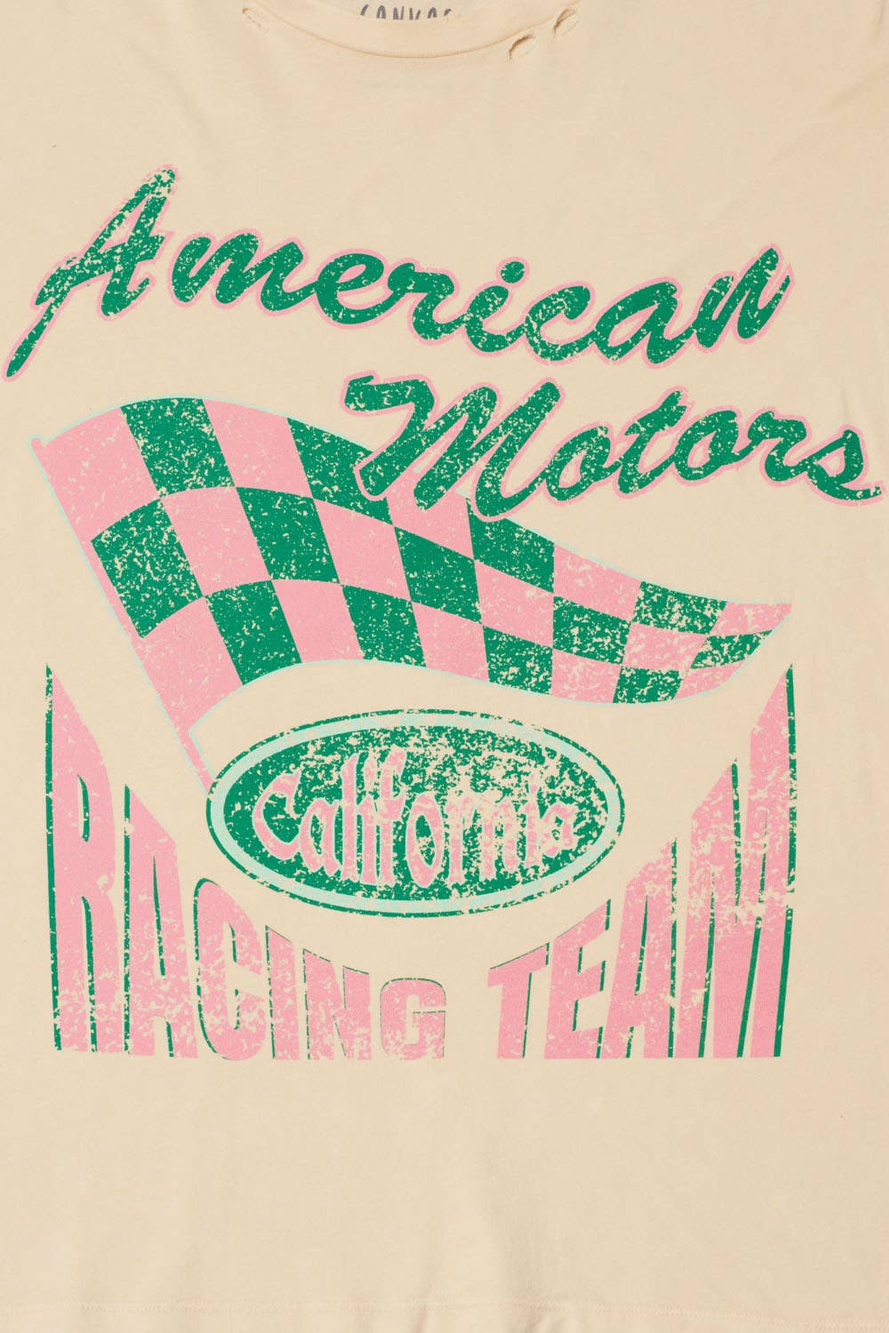 American Motors Round Neck Distress Graphic Tee