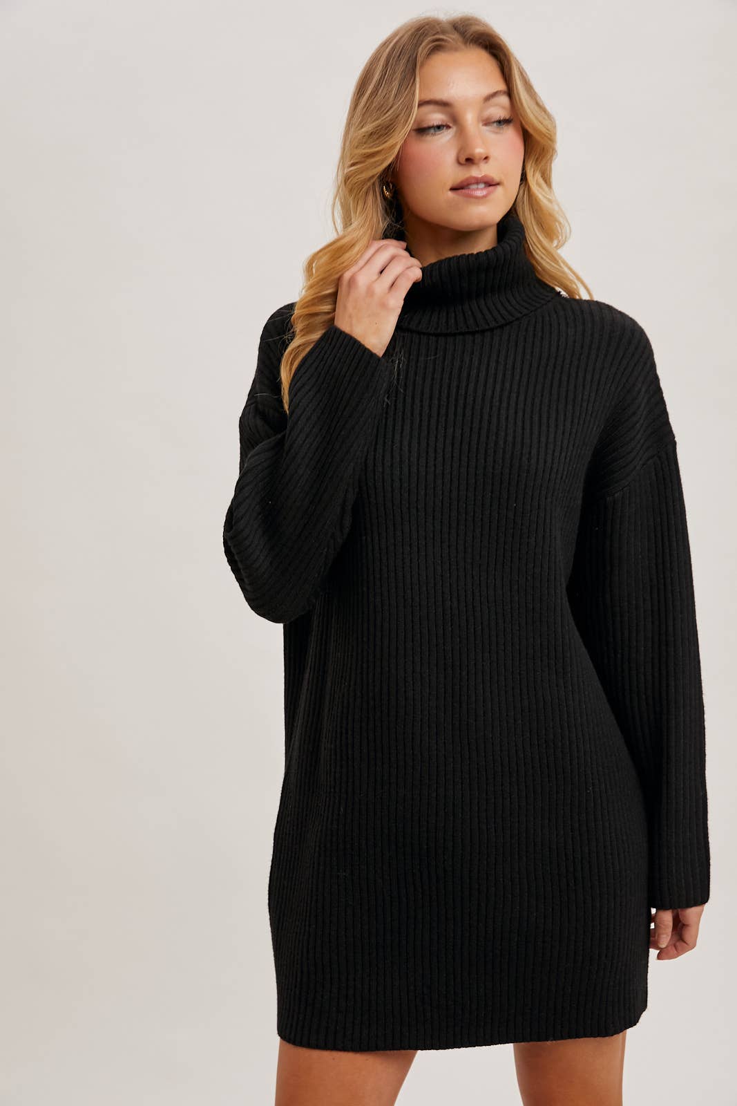 TURTLE NECK KNIT SWEATER DRESS