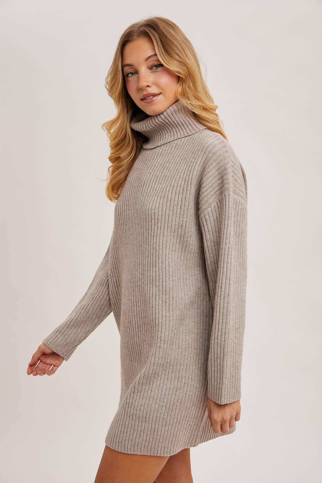 TURTLE NECK KNIT SWEATER DRESS