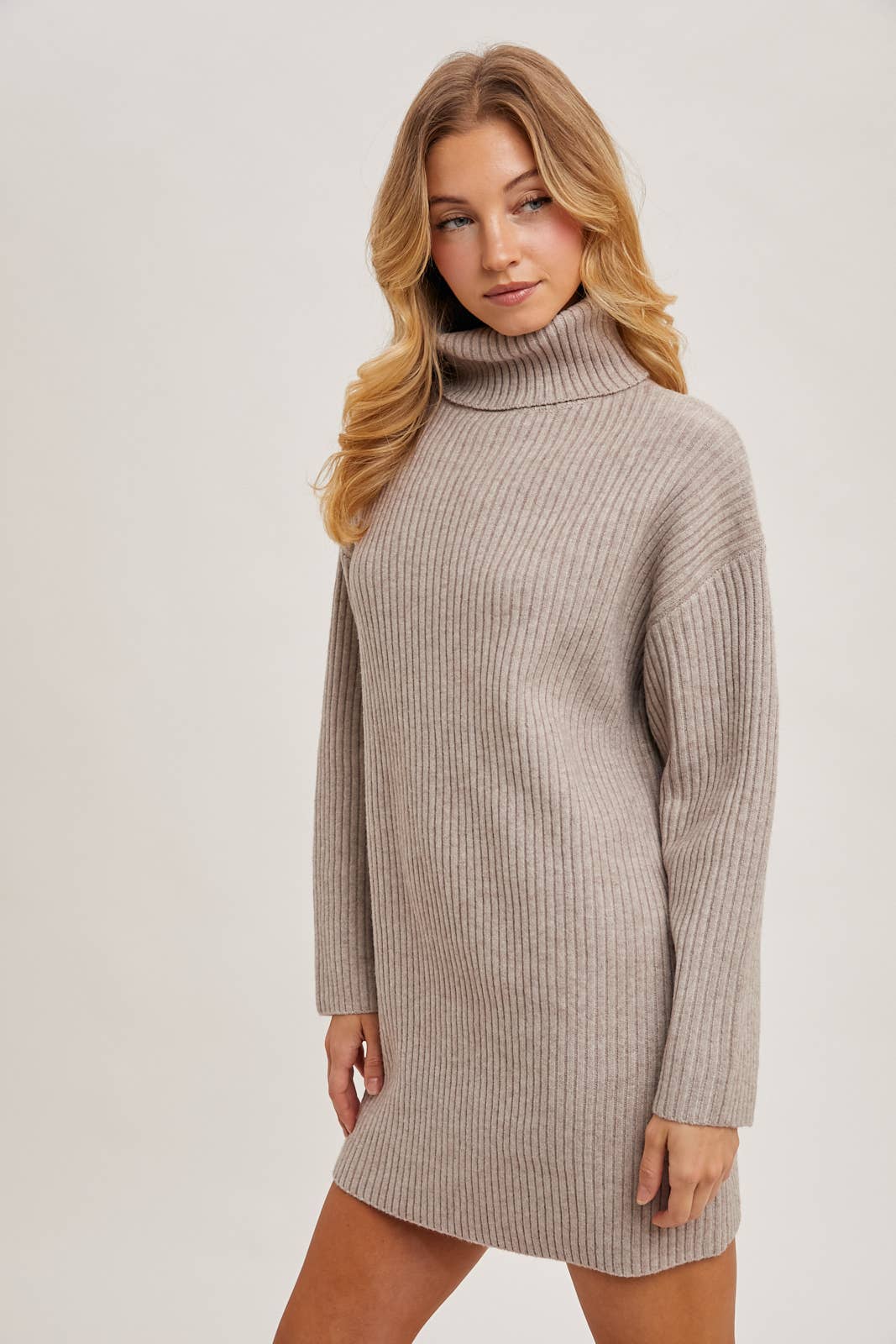 TURTLE NECK KNIT SWEATER DRESS